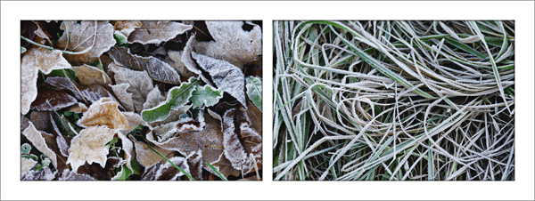 First Frost (c)2009 by April Siegfried