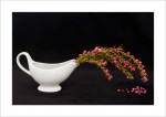 Boronia ©2008 by April Siegfried “Boronia”