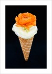 Double Dip ©2008 by April Siegfried “Double Dip”