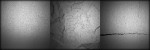 Showbox Photography—Textures