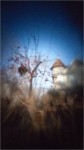 Shoebox Series №6—Bird's Nest