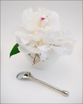 Peony №4
