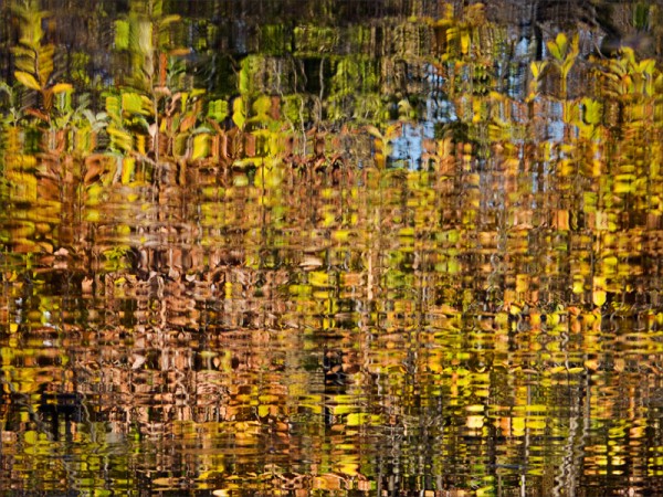 Color reflections of autumn foliage in a lagoon.