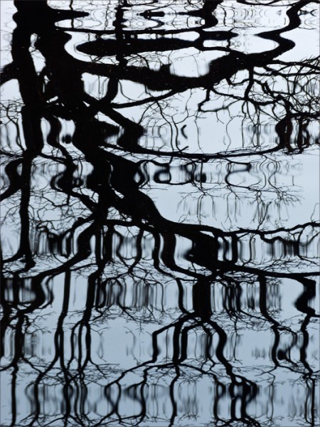 Silhouette of a bare tree reflected in water with stretched bands of ripples.