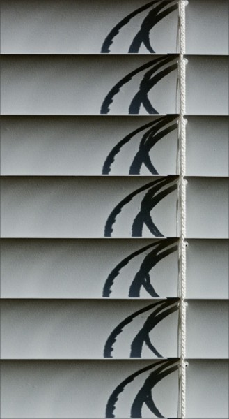 A pattern of shadows.
