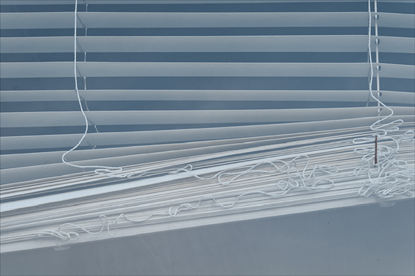 Window Blind №11 (Unruly) ©2014 April Siegfried